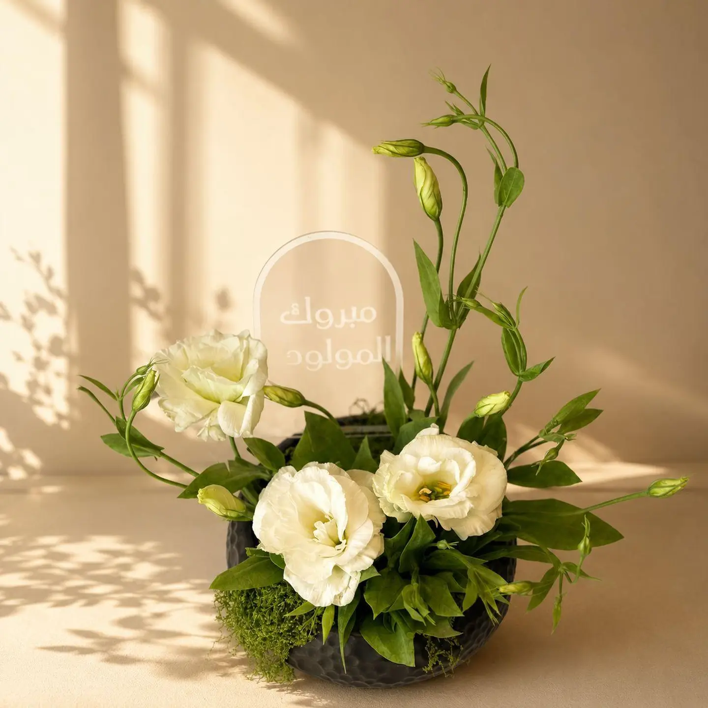 Occasion Gift 13