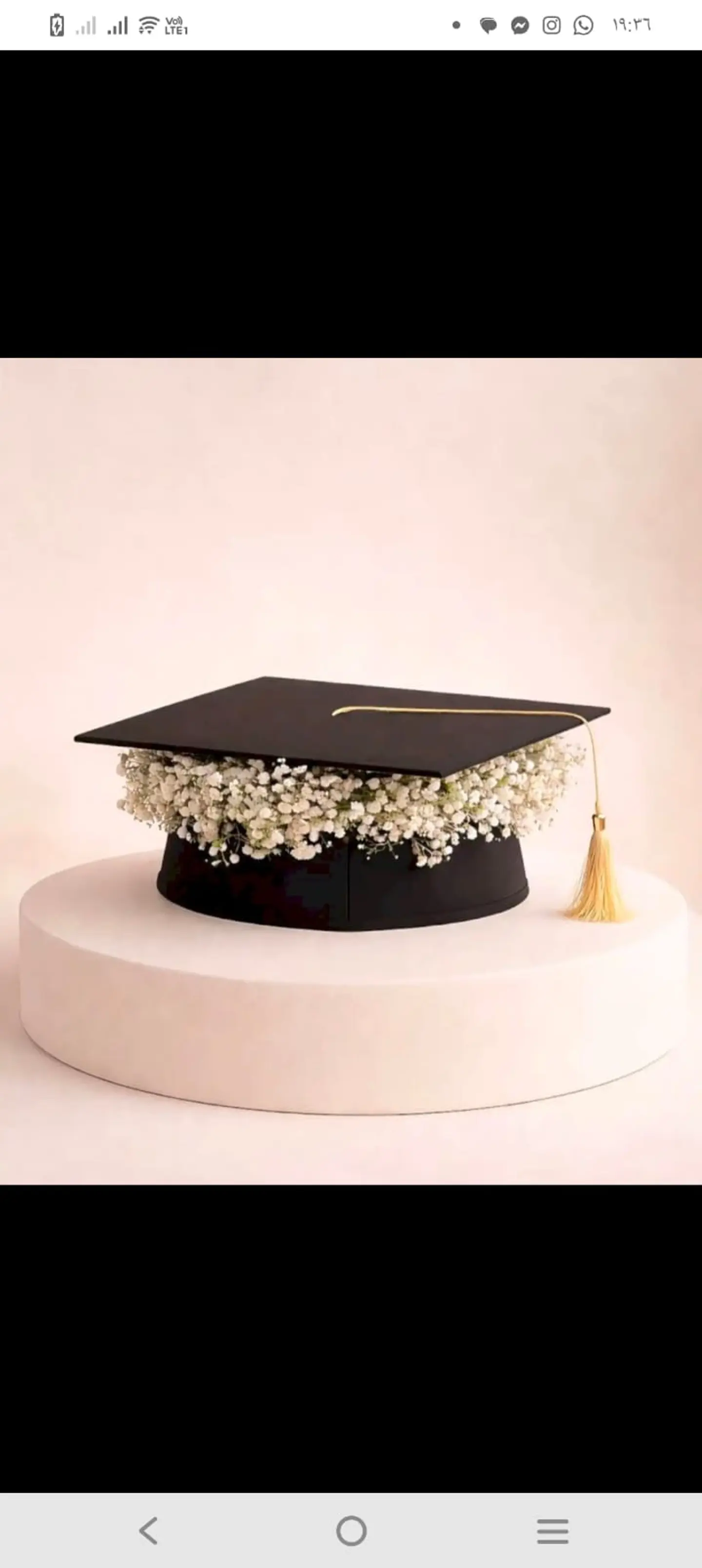 Graduation Cap With Plaster Roses
