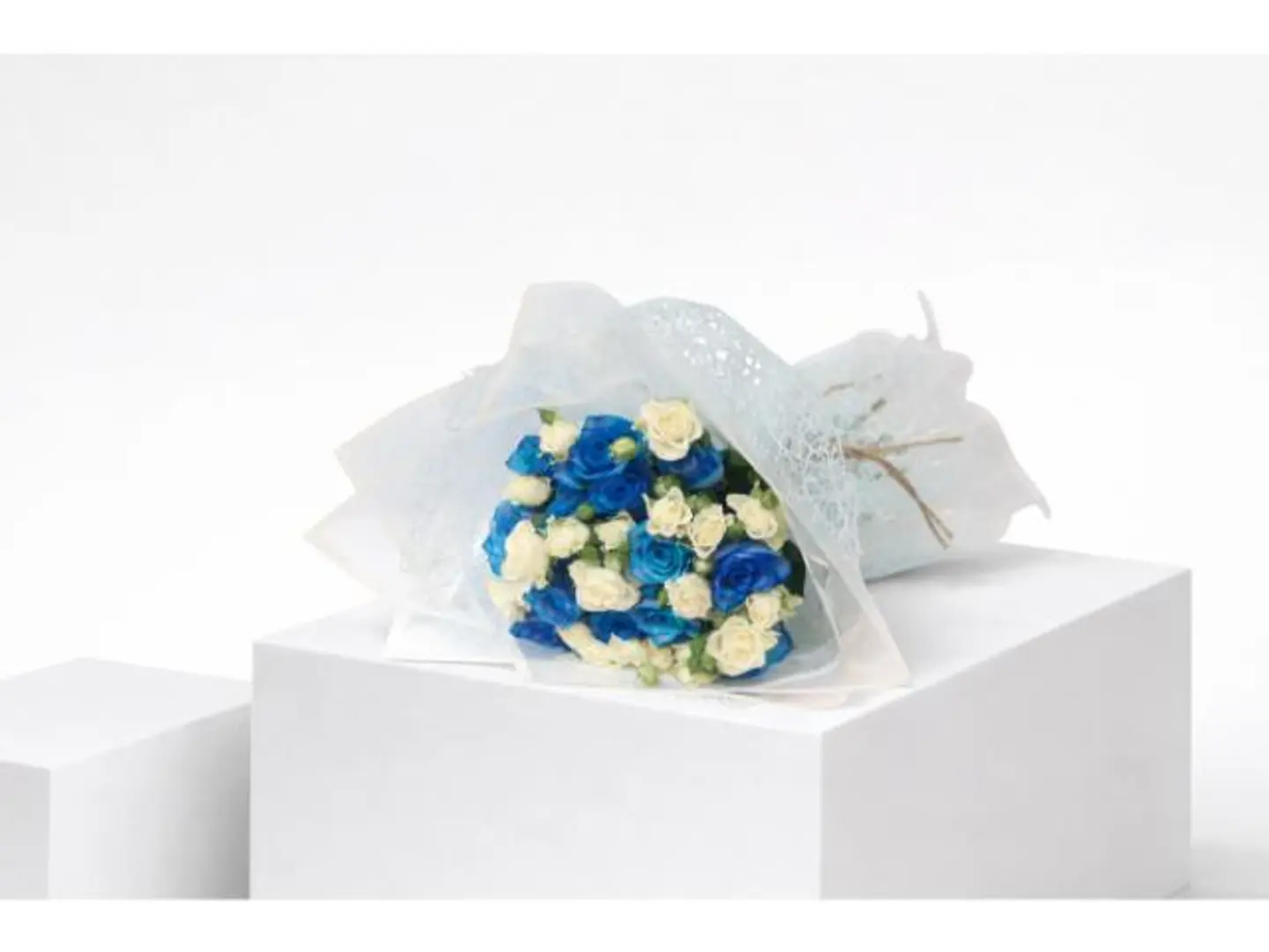 نجمة المساء