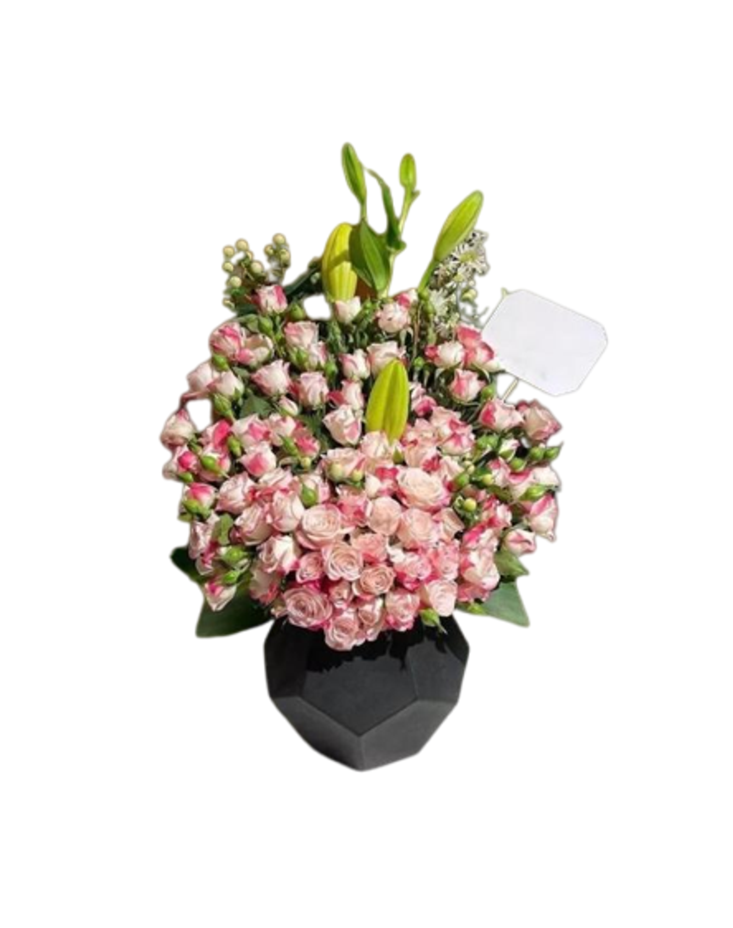 You Are A Rose Flower Vazza 0001