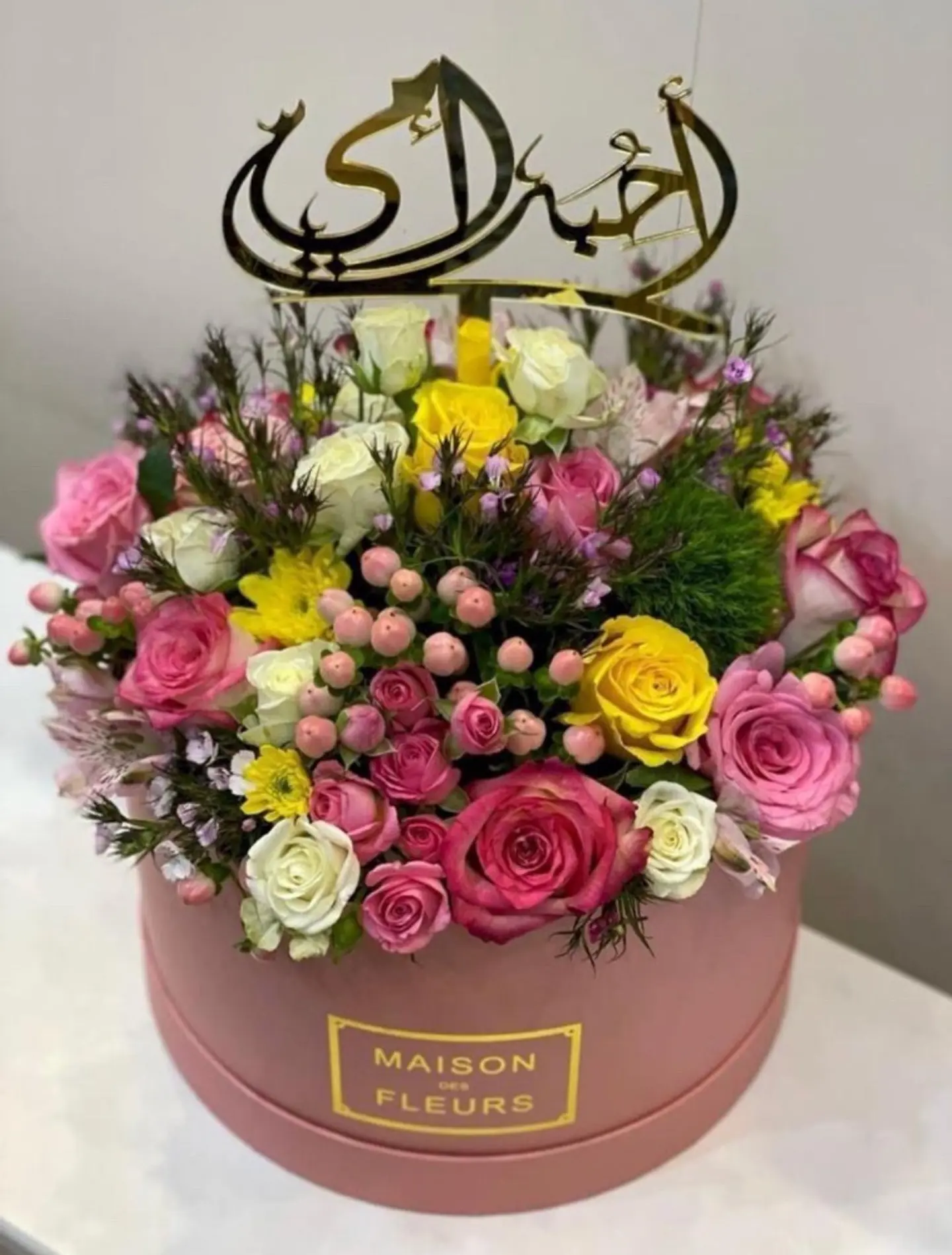 امي داري ودياري