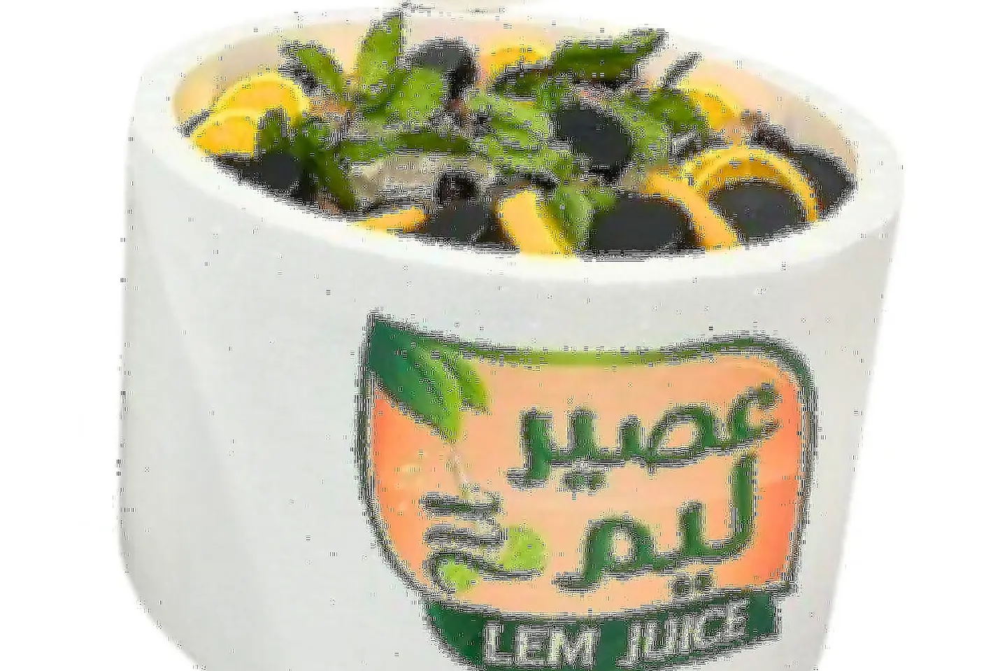 Mix Mojito Box
