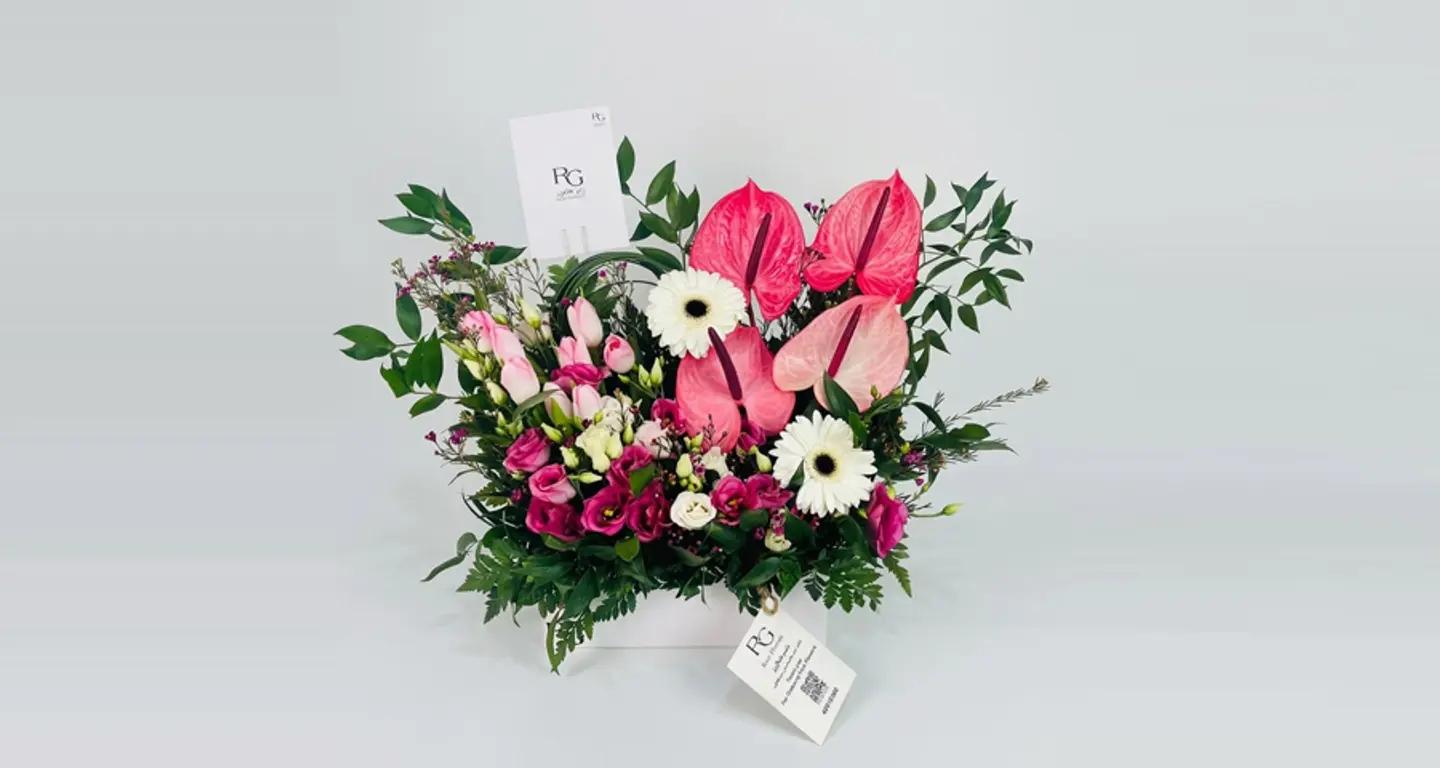 بوكس ورد رقم.١٢٦١٢