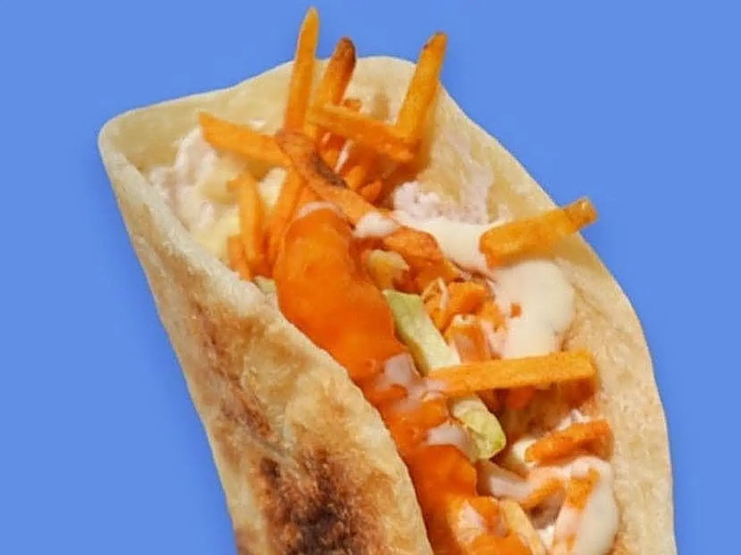 شباتي دجاج البافلو