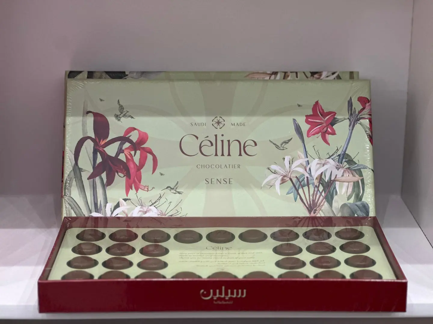 سيلين