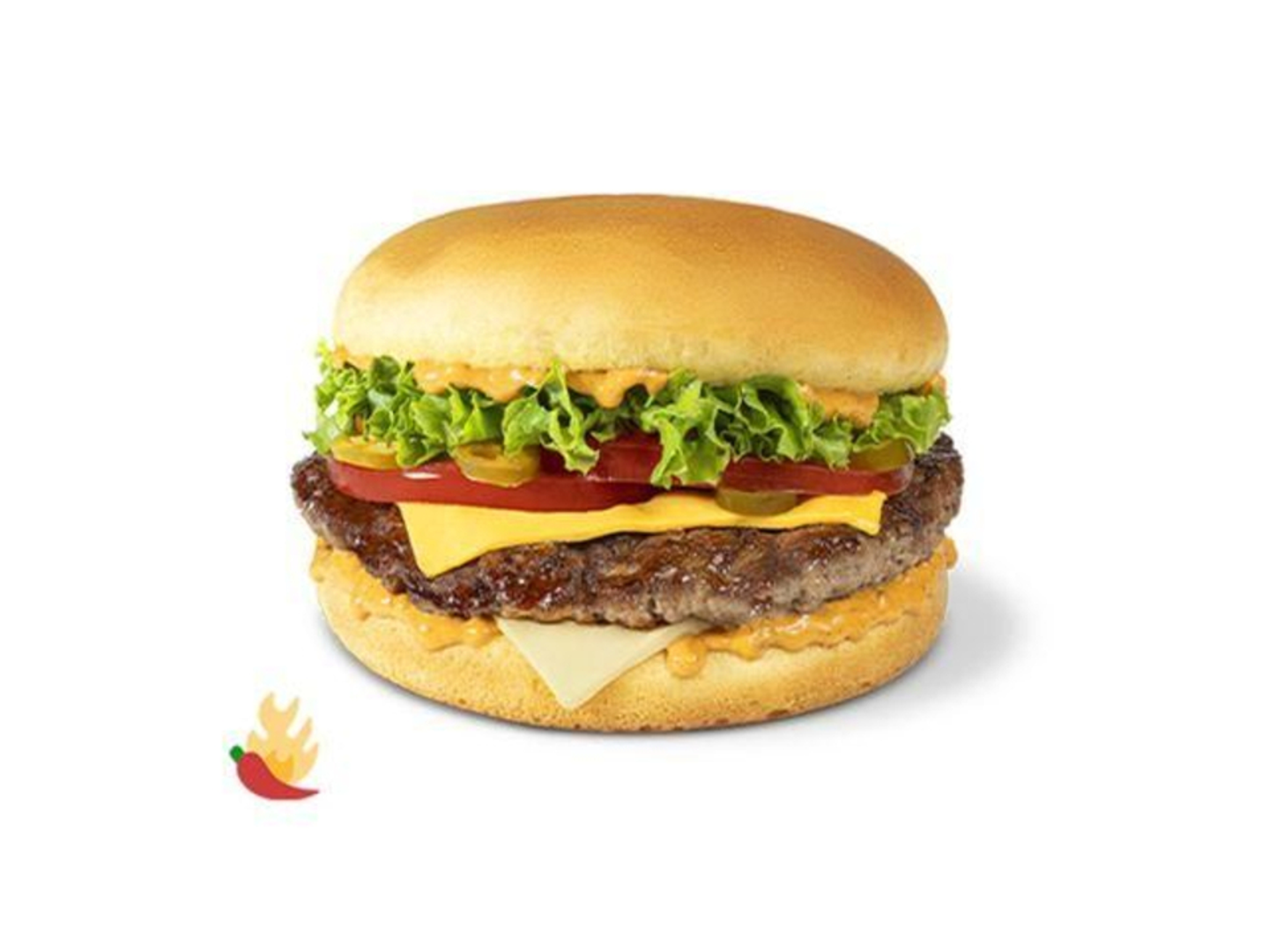 بيج هنجري شيبوتلي