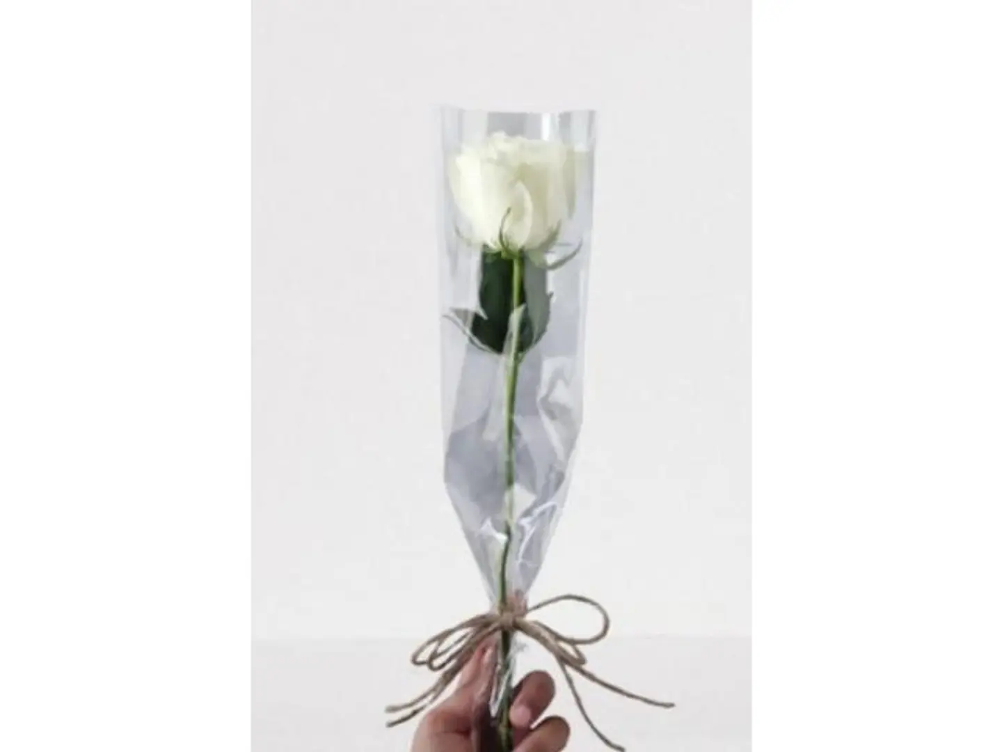 ورده التوزيعات الابيض