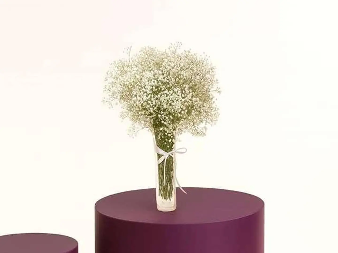 Gypsophila Vase