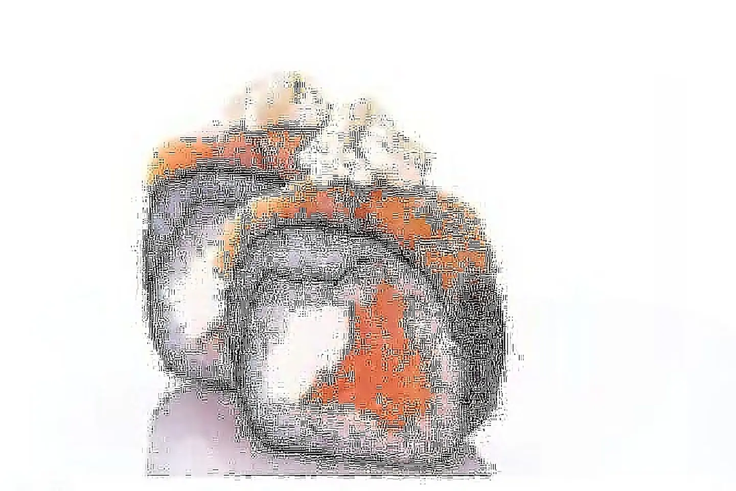 Dynamite Salmon