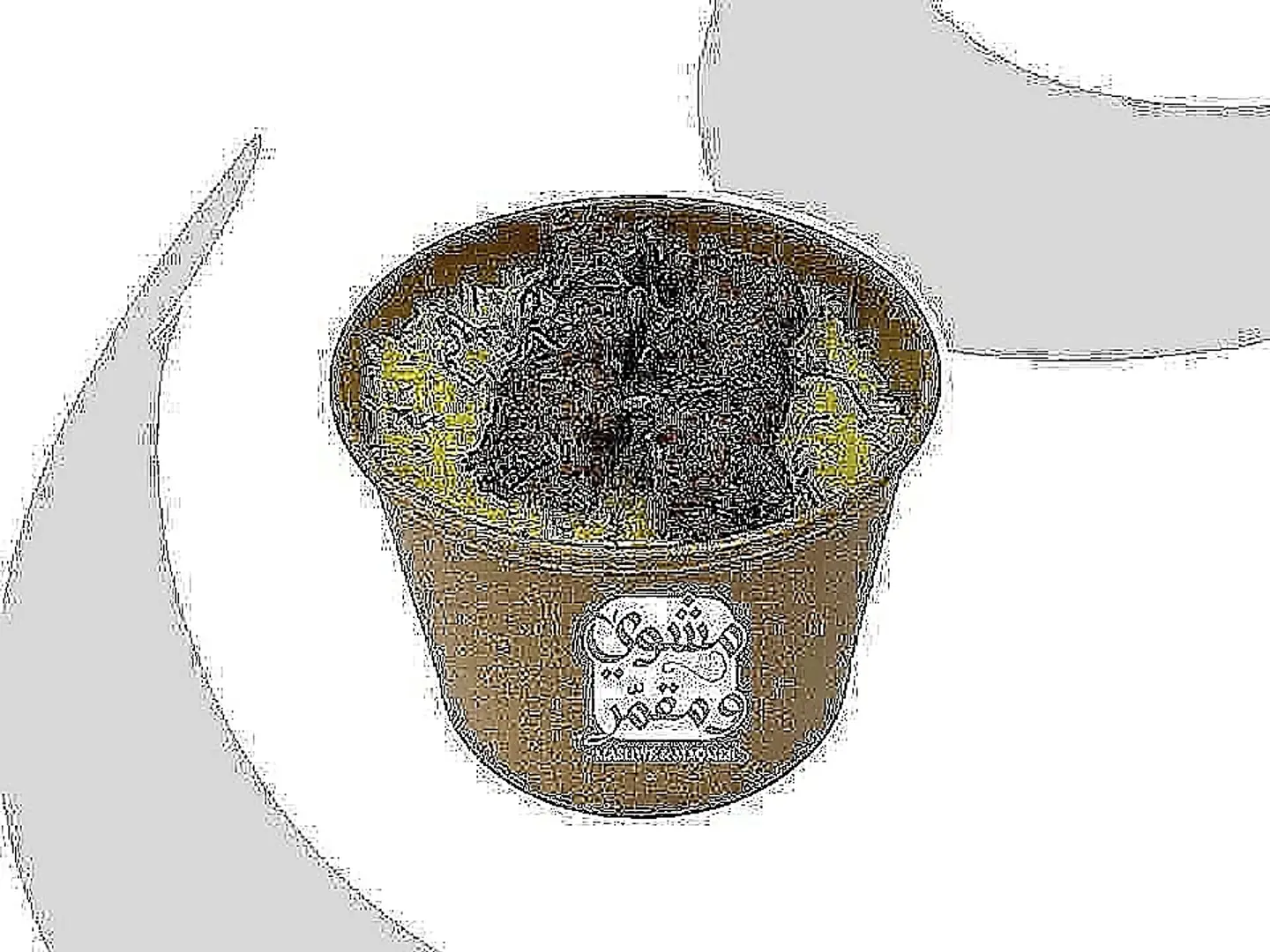 كب ارز مع سيخ مشوي