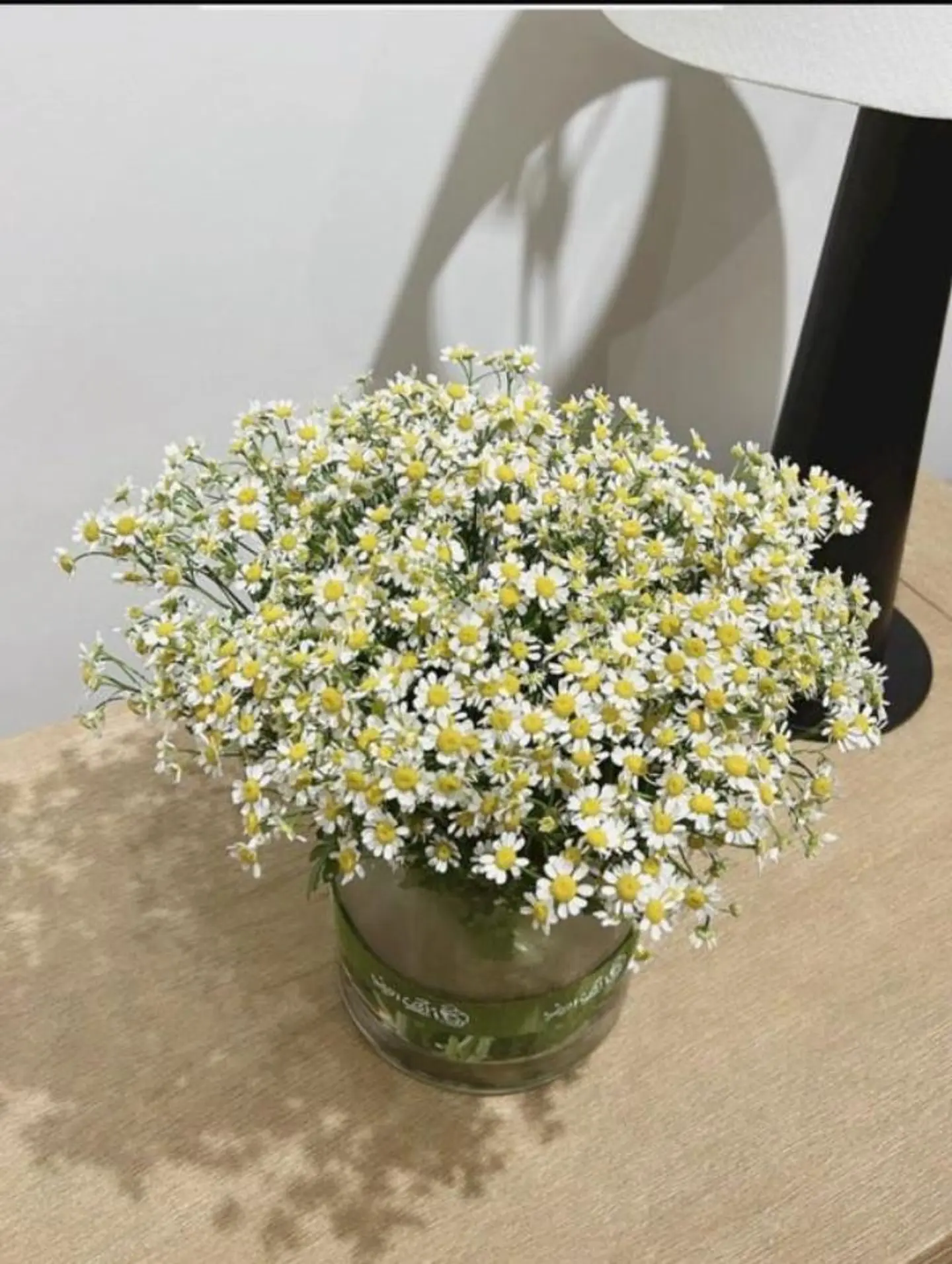 ورد الجمال والرقة