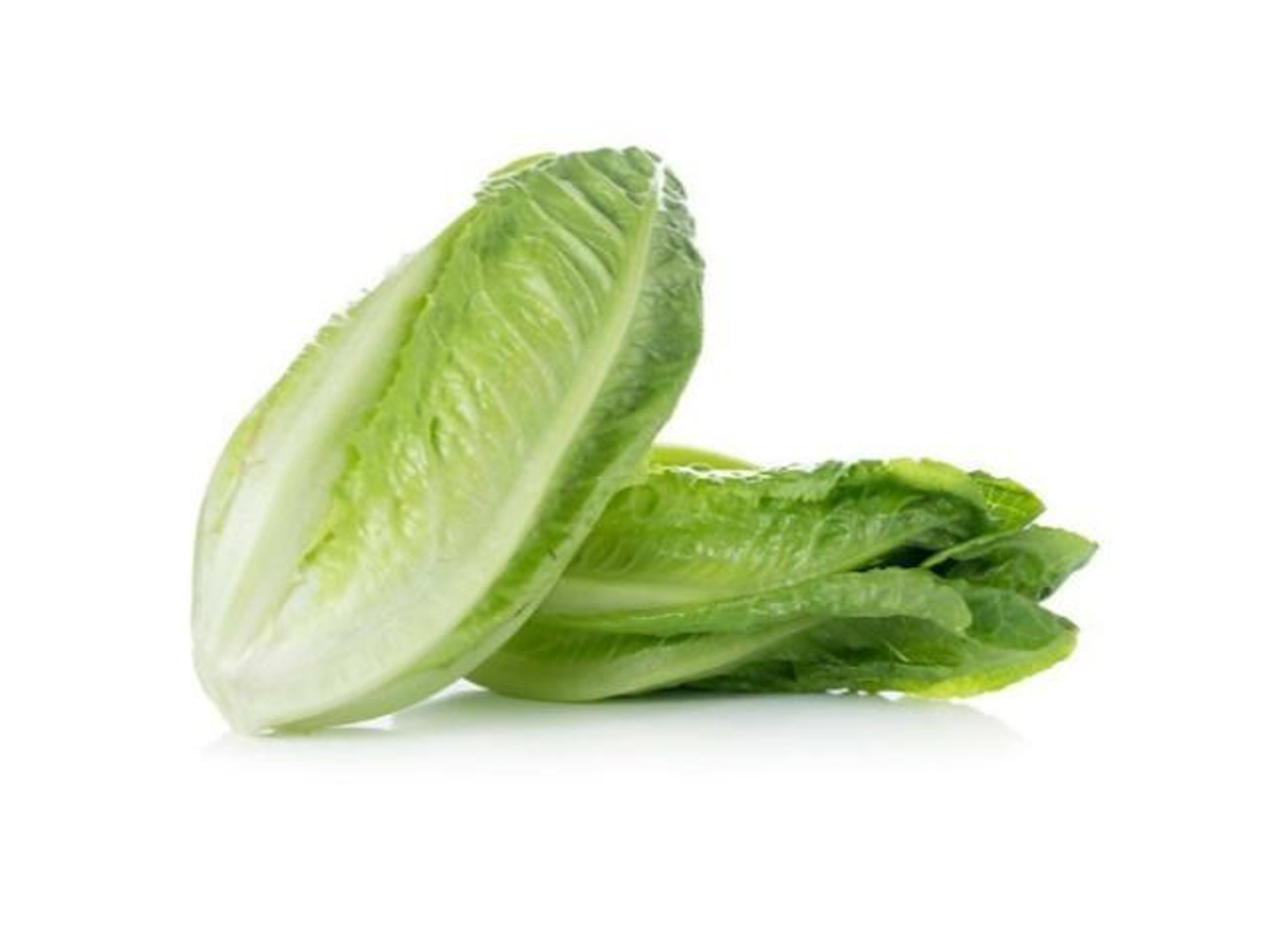 Lettuce Half Kilo