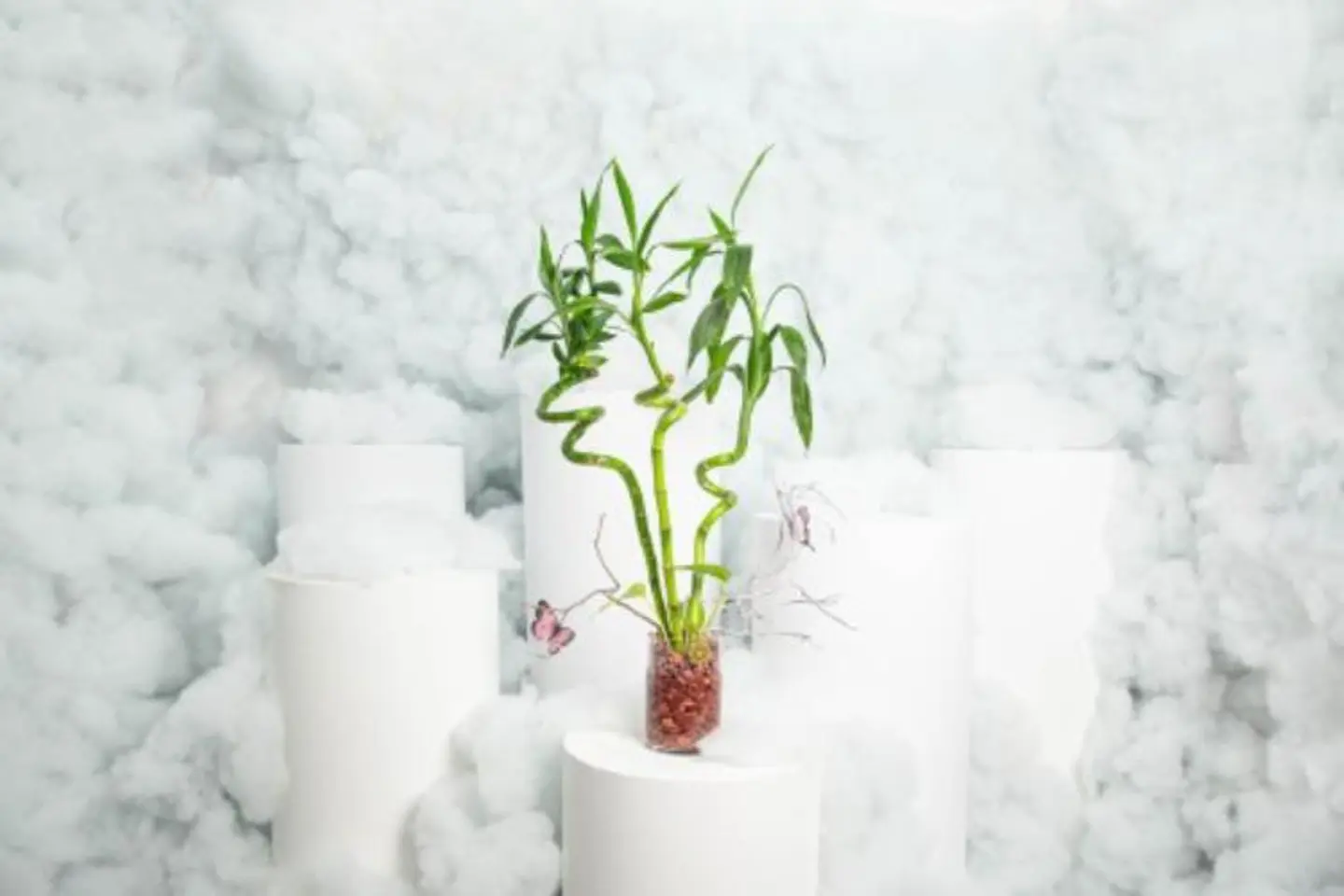 Bamboo Branches With Glass Vase