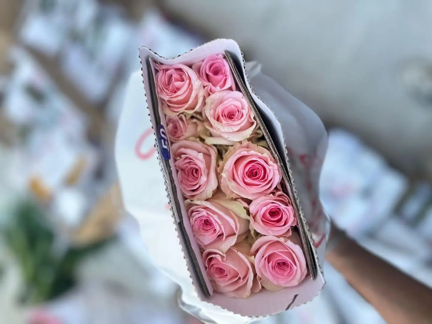 ربطة جوري وردي فاتح