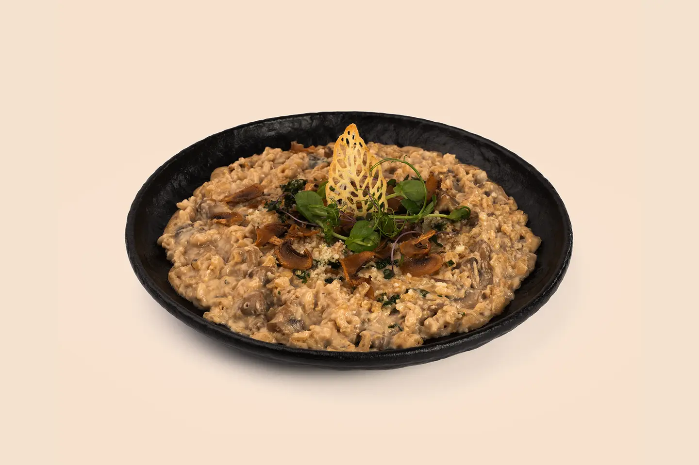 Wild Mushroom Risoto