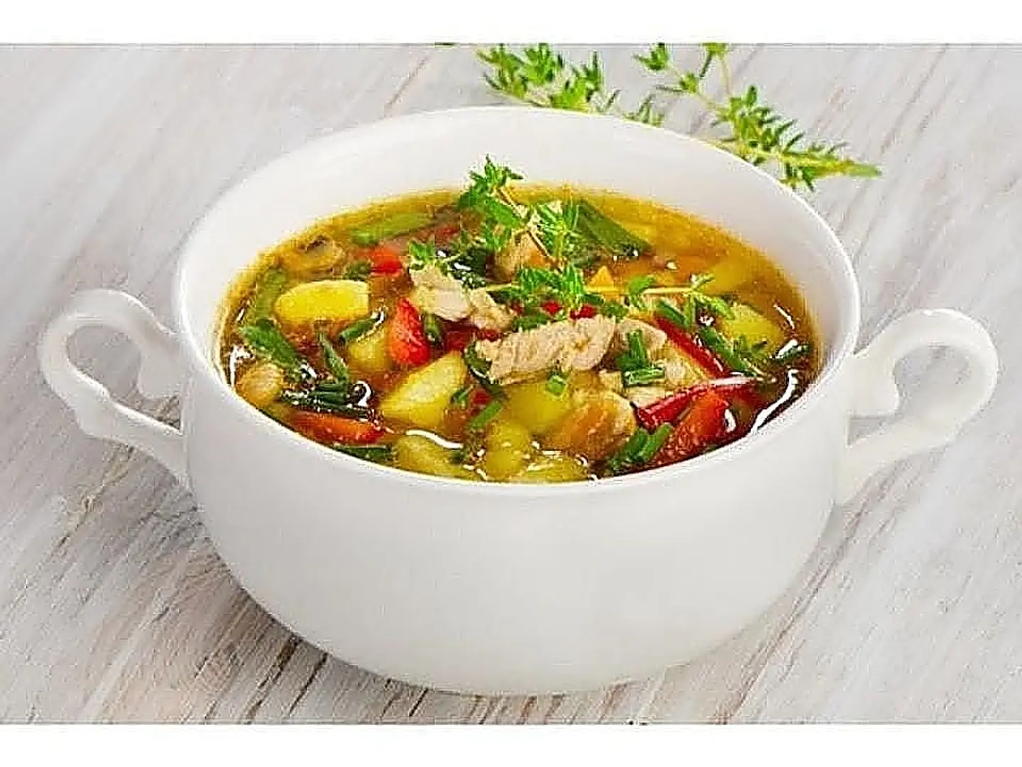 Chicken Vegetable Soup