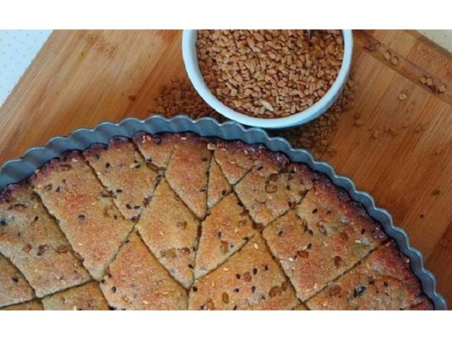 حلبة