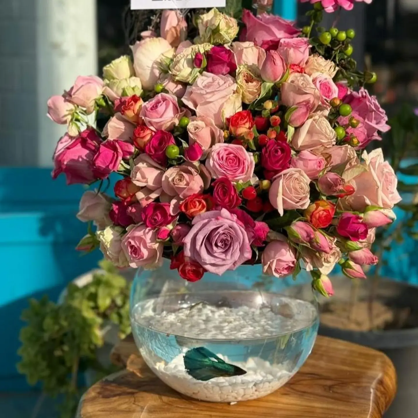 فازة سمك بورد وردي