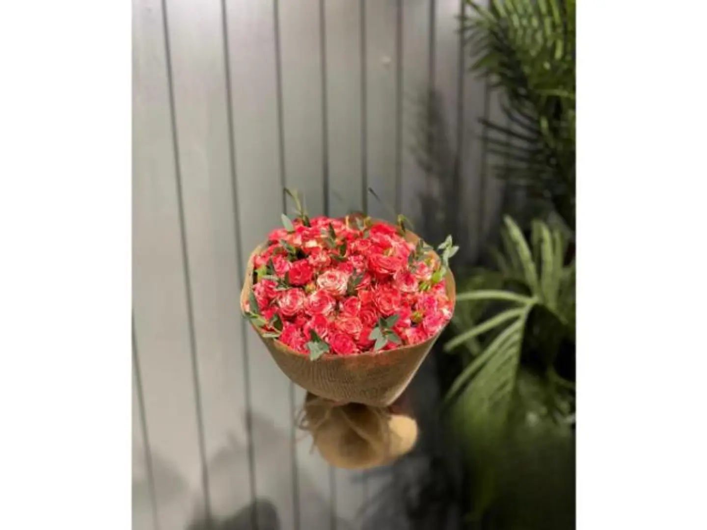 باقة التعبير