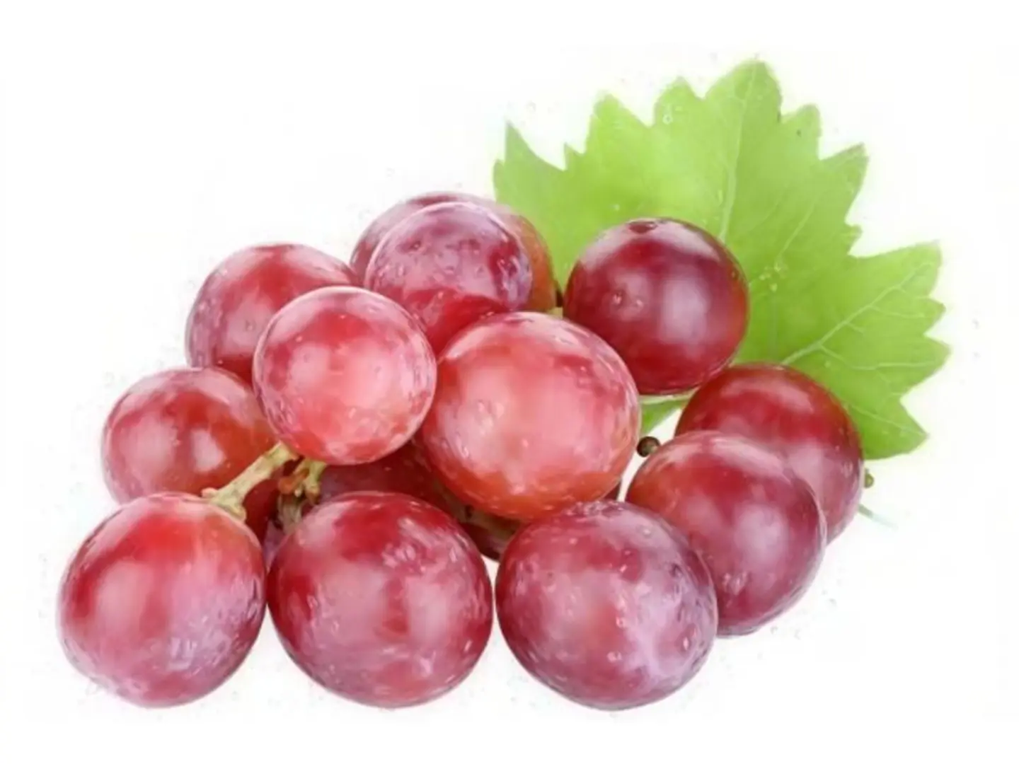 Fresh Grapes