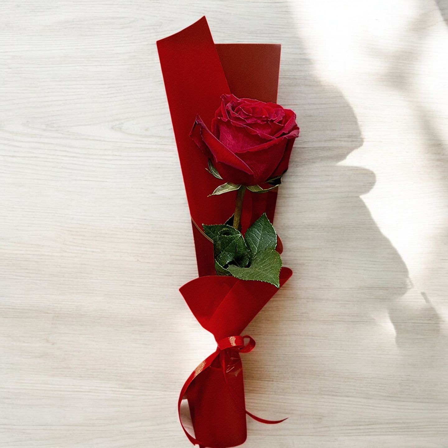 Soft Rose Love