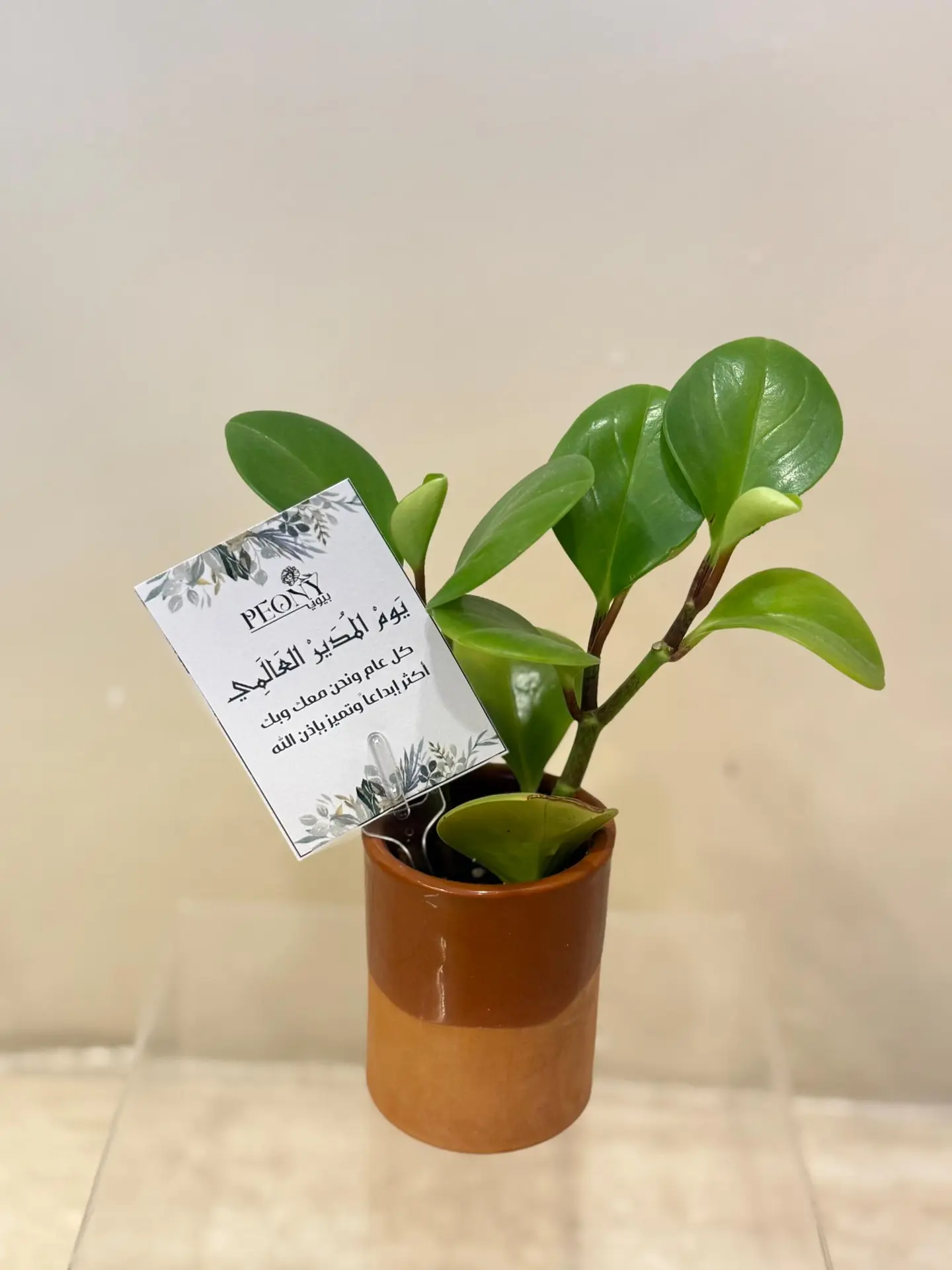 Peppermint Pottery Vase For Boss' Day