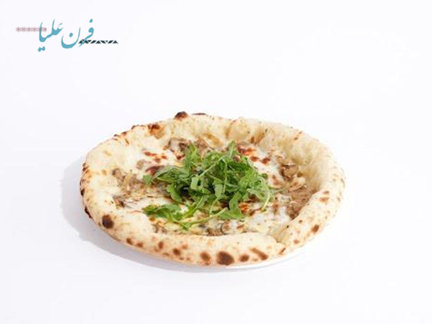 بيتزا ترافل كبير - حجم كبير