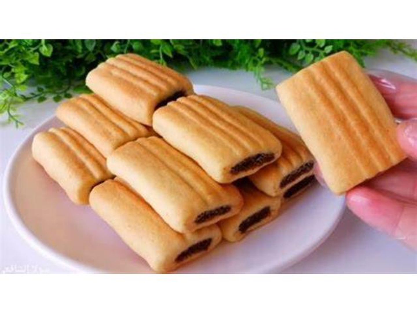 Biscuits