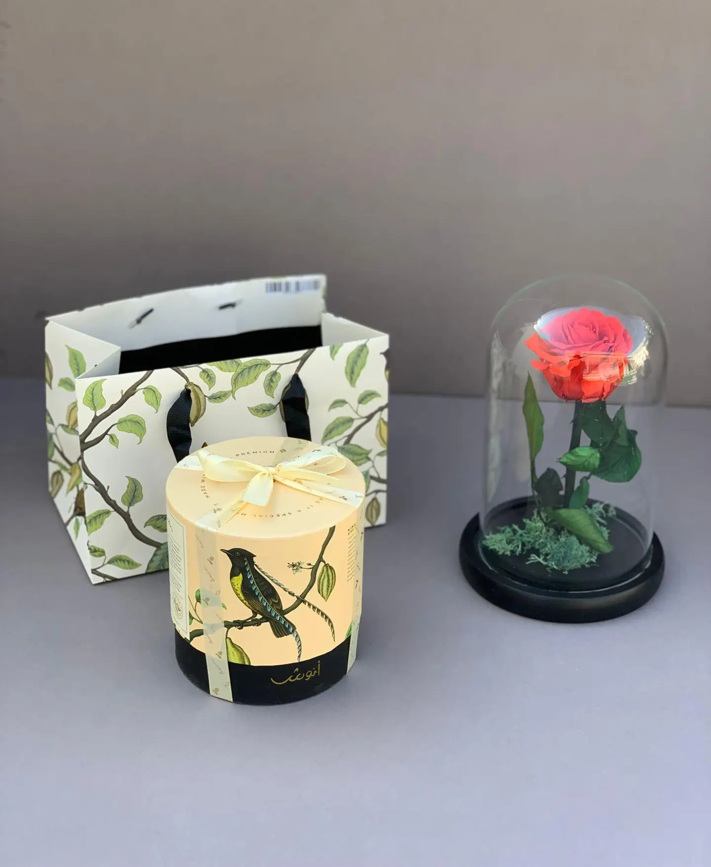 فازه الورده الدائمه وشوكلت انوش