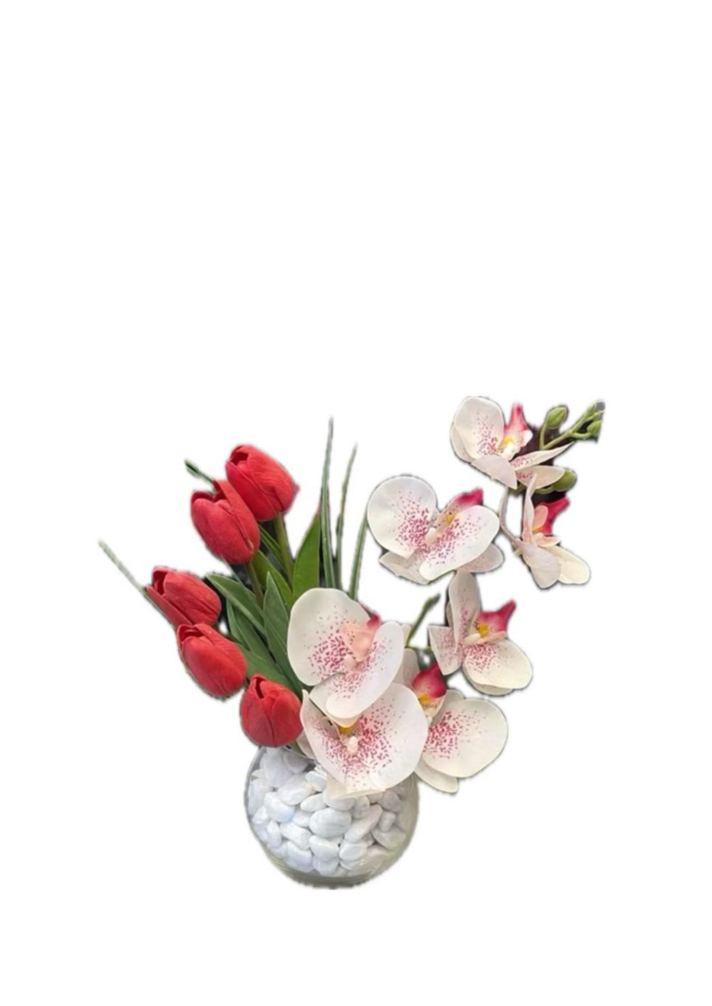 فازة التوليب الصناعي