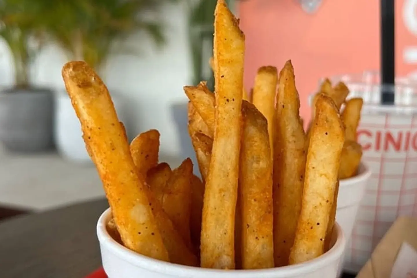 Spice Fries