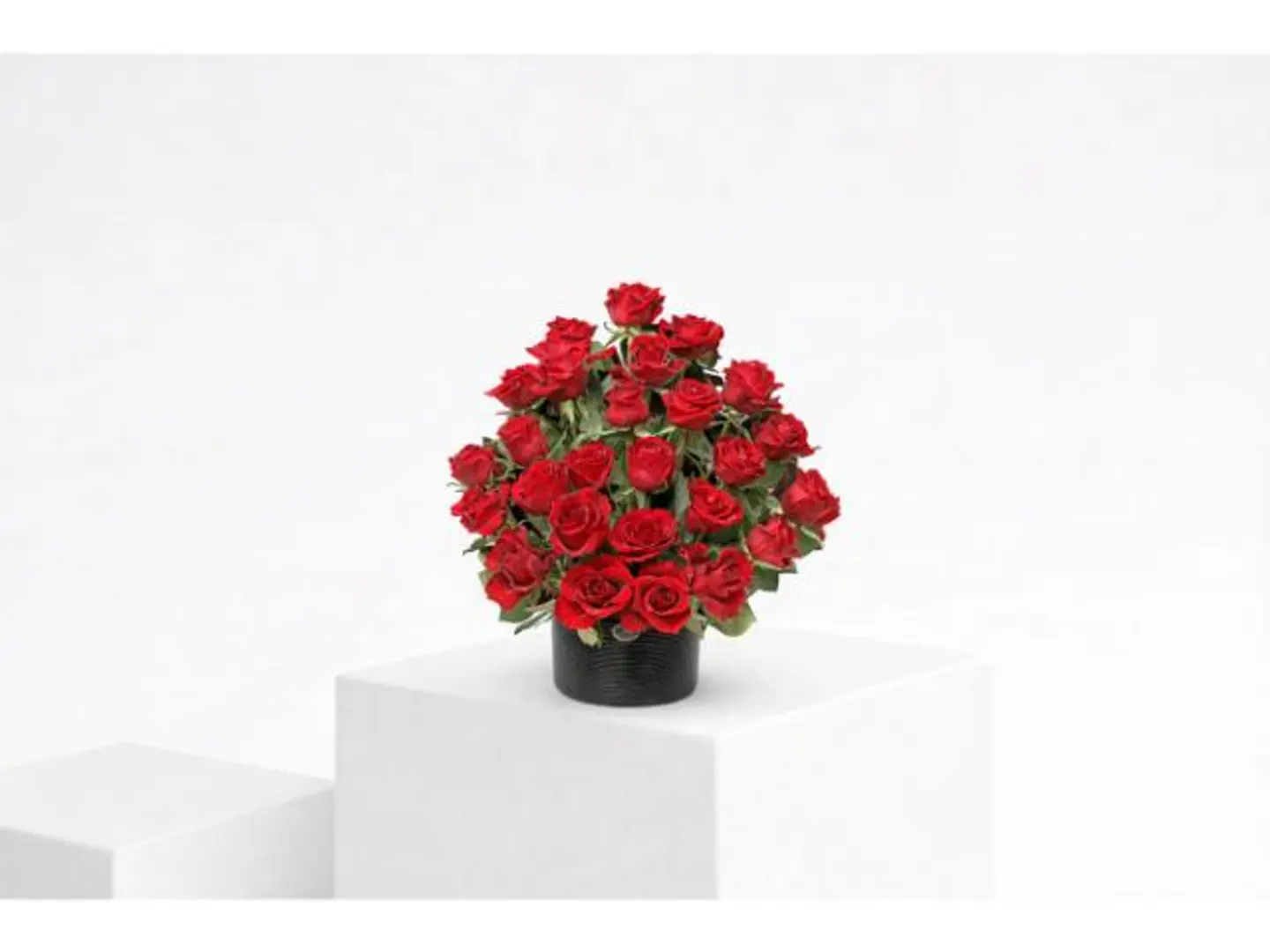 فازة الجوري