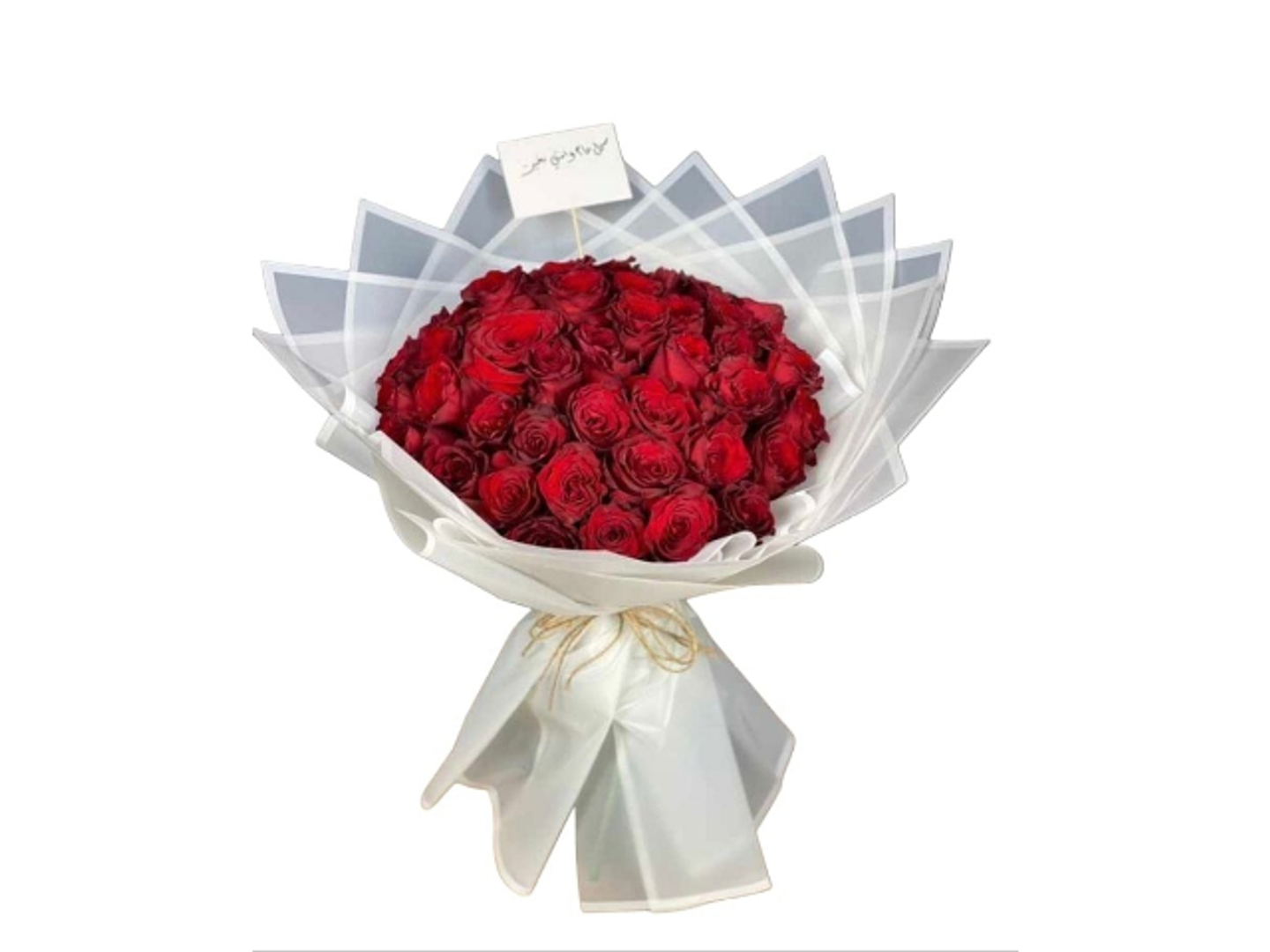 بوكية عيناك بلائي وابتلائي وانا المتيم المبتلي