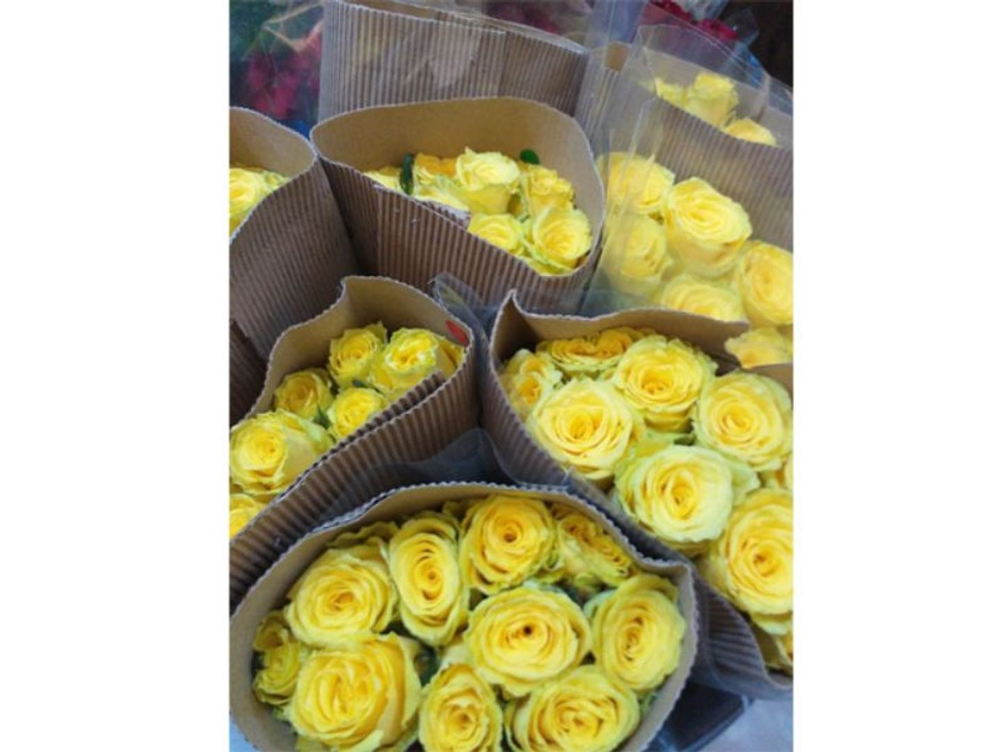 Yellow Roses Without Packaging