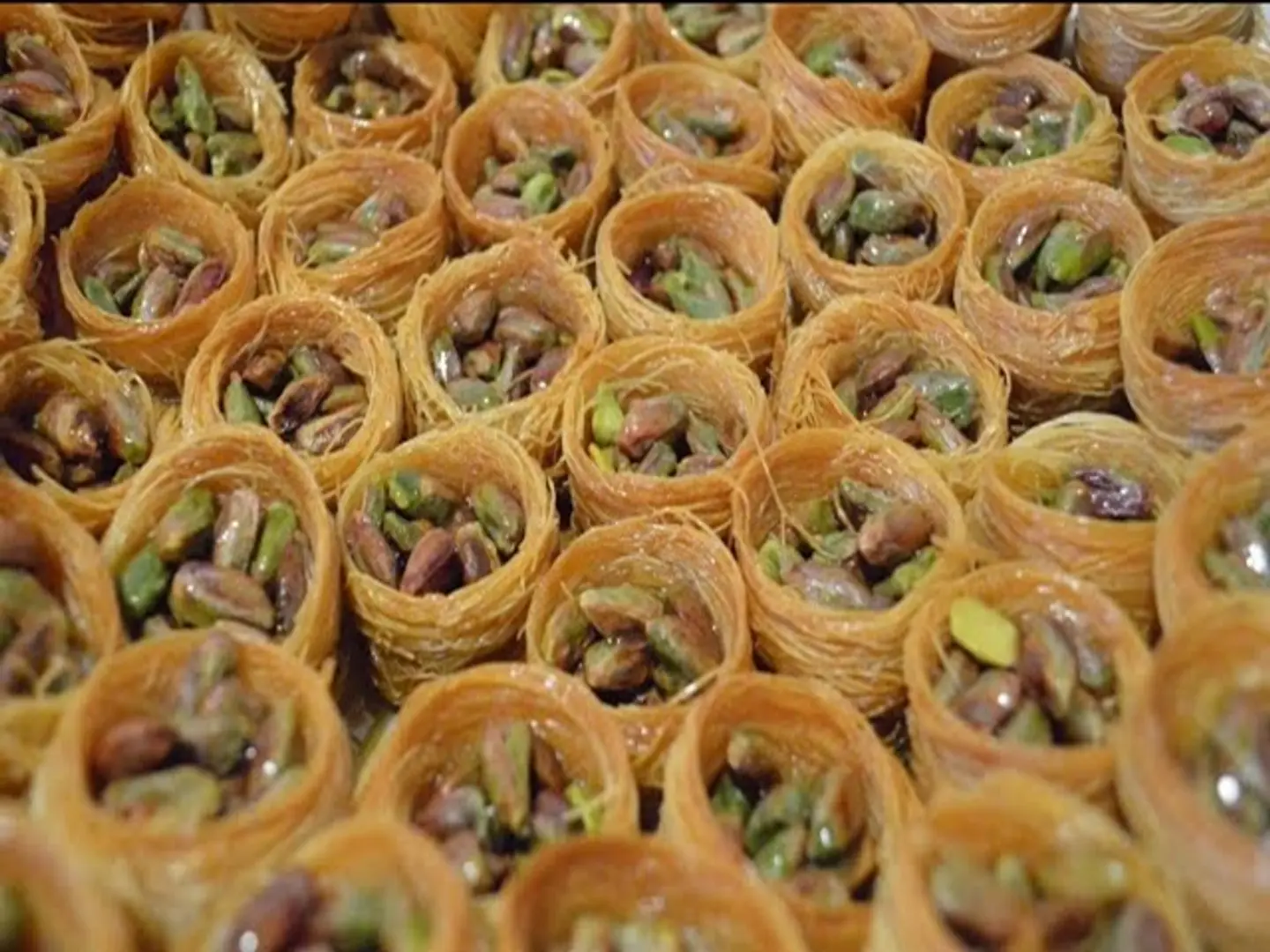 Ash Albulbul Aleppo Pistachio
