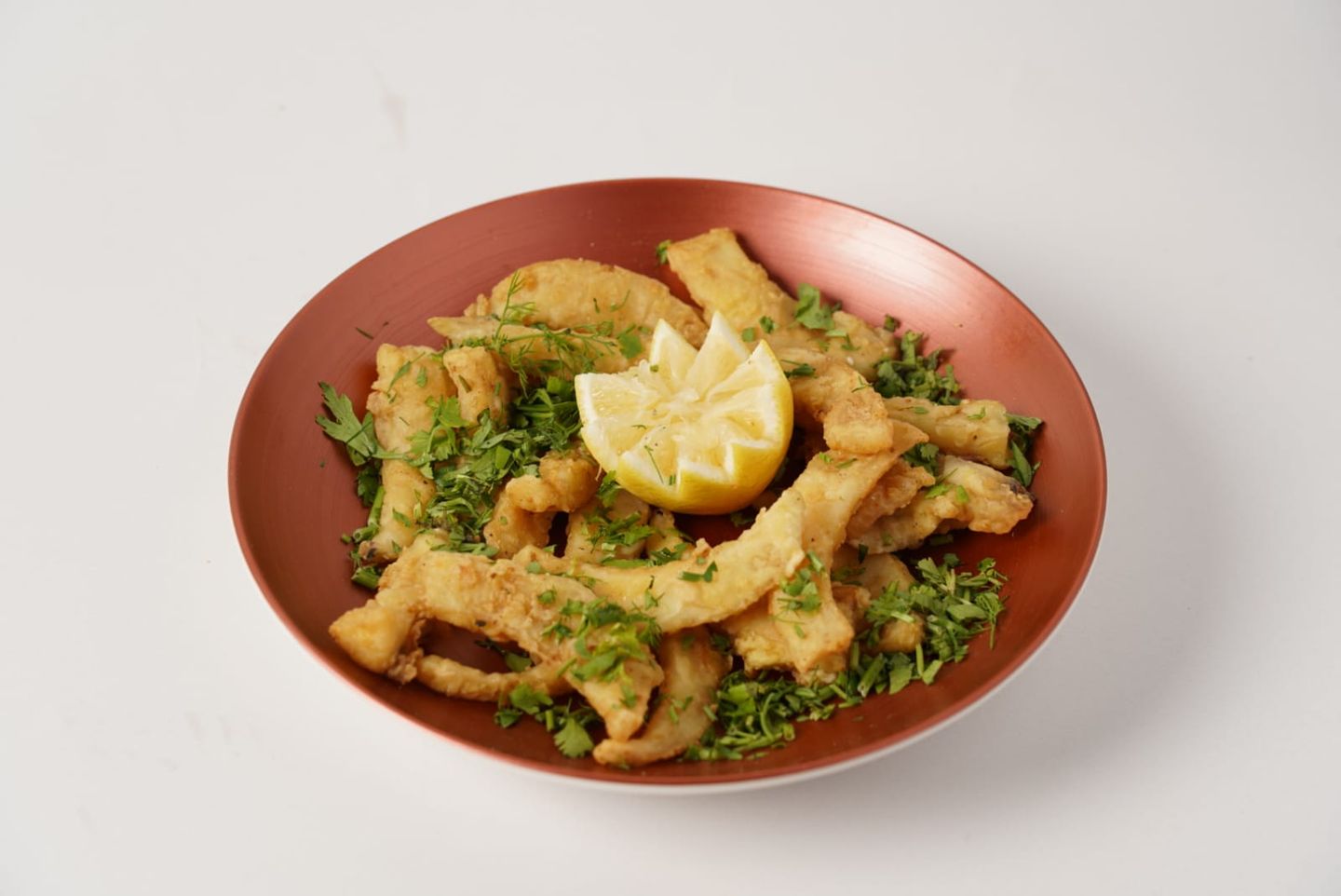 حبار بلدي