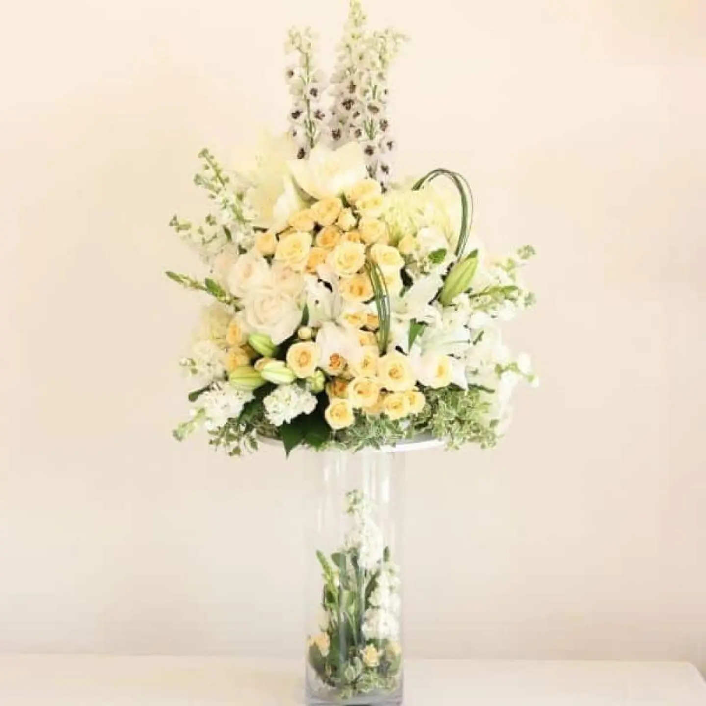 أناقة بيضاء