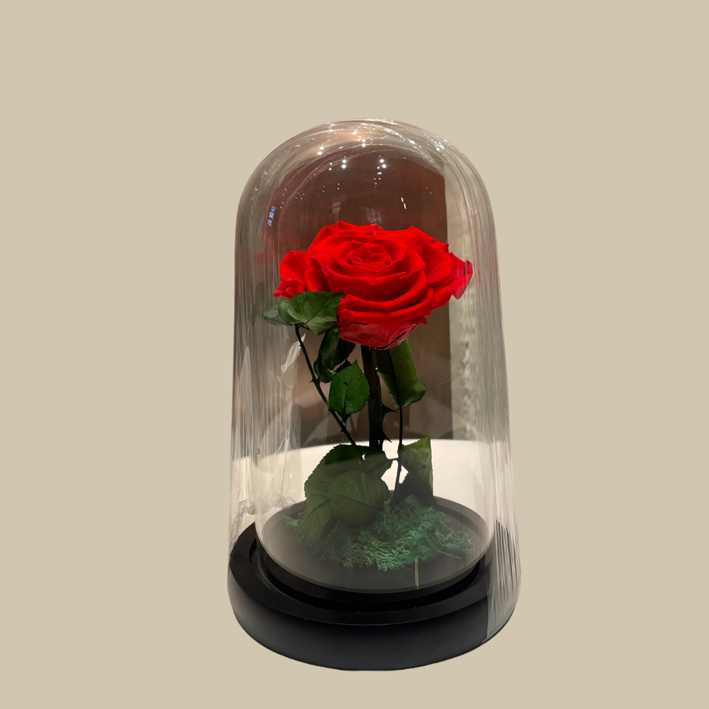 Rose Of Lasting Love