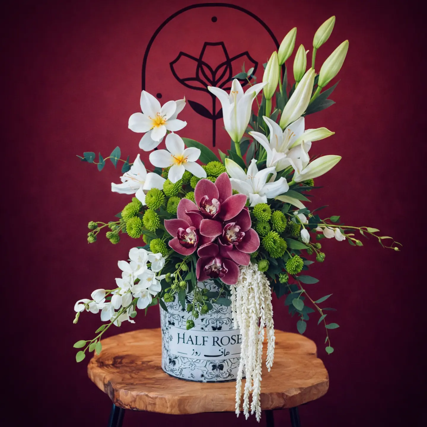 الفازة الهولندية