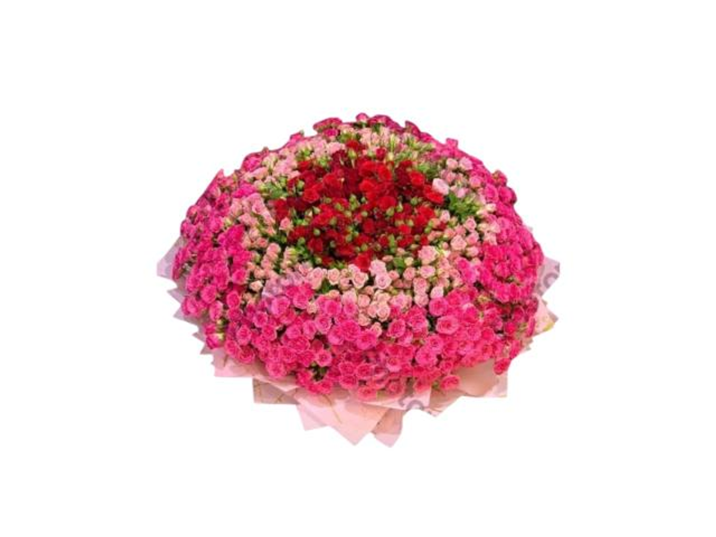 Pink Tang Flowers1