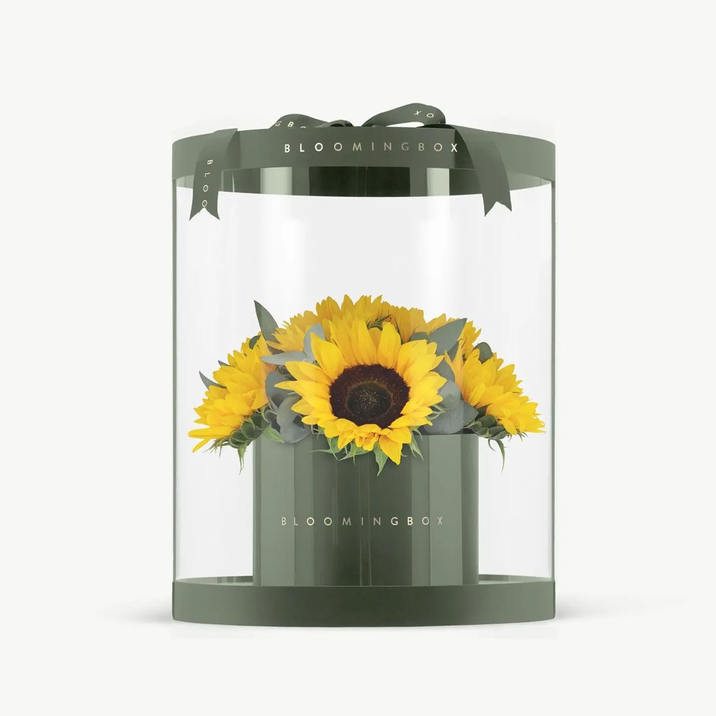 Premium Sunflowers Box Large