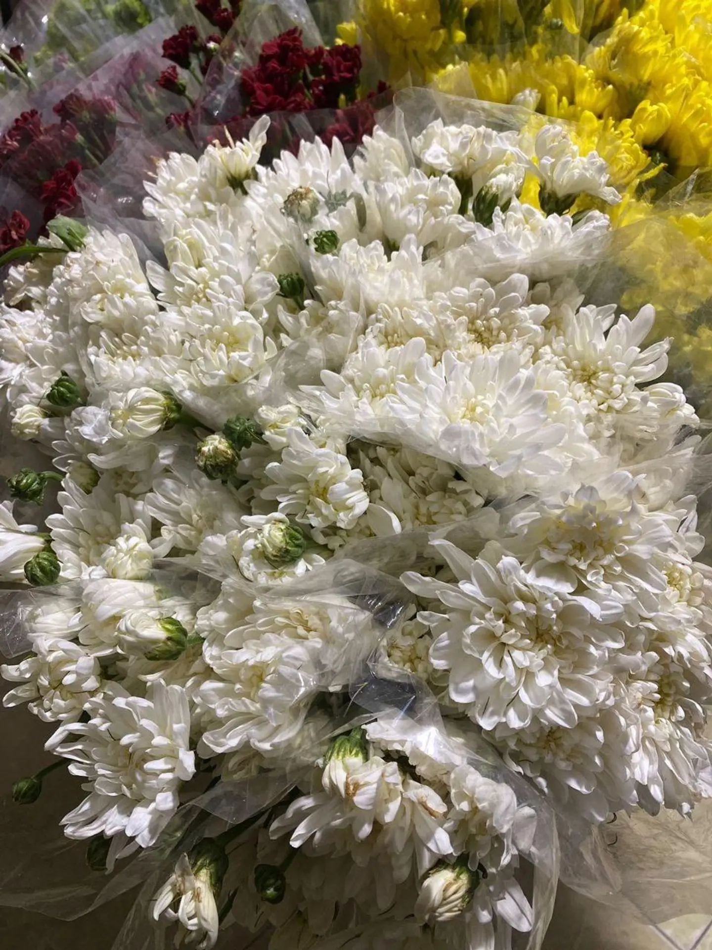 ربطة كريز ابيض