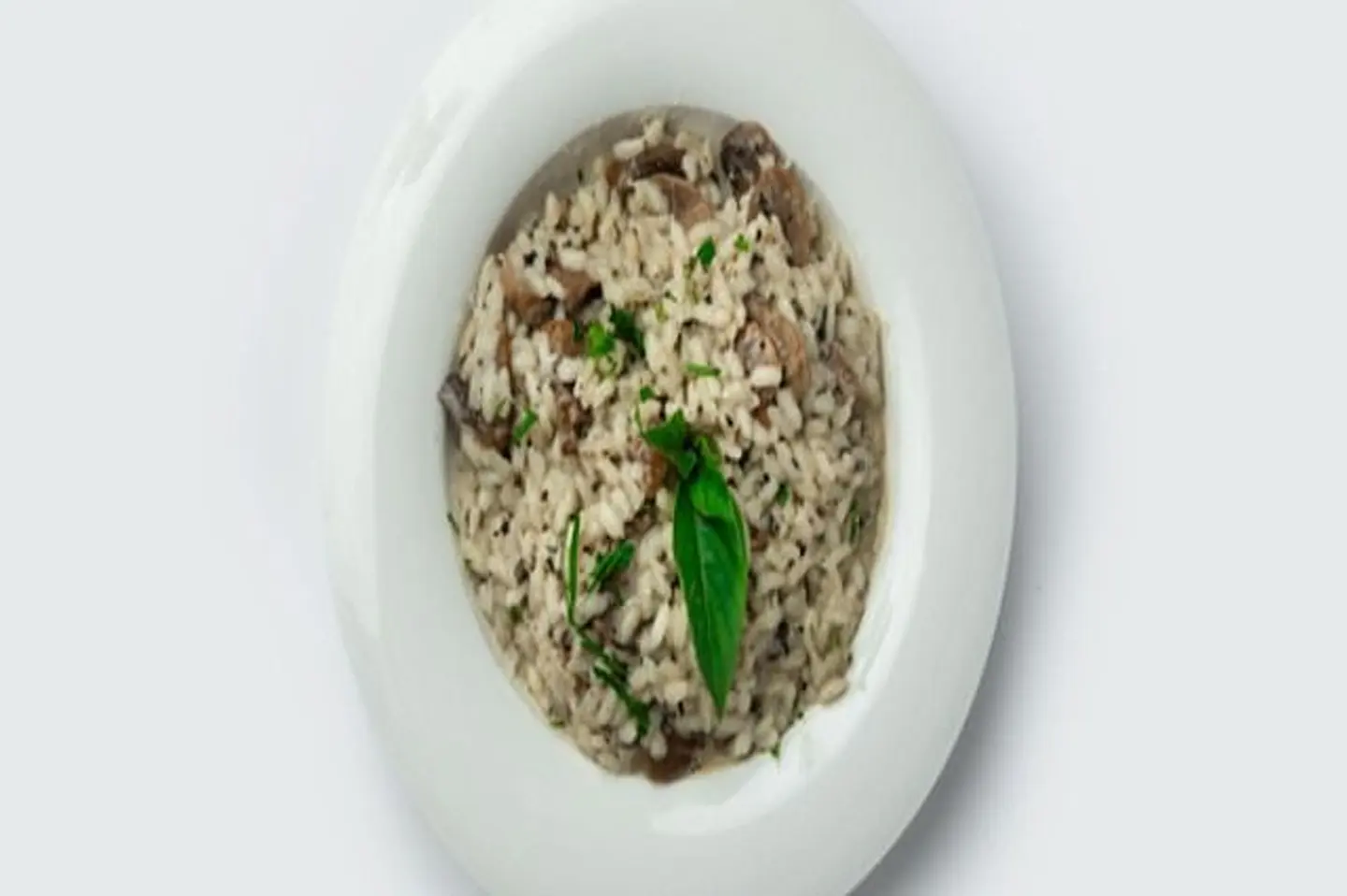 Risotto Truffle Mushroom