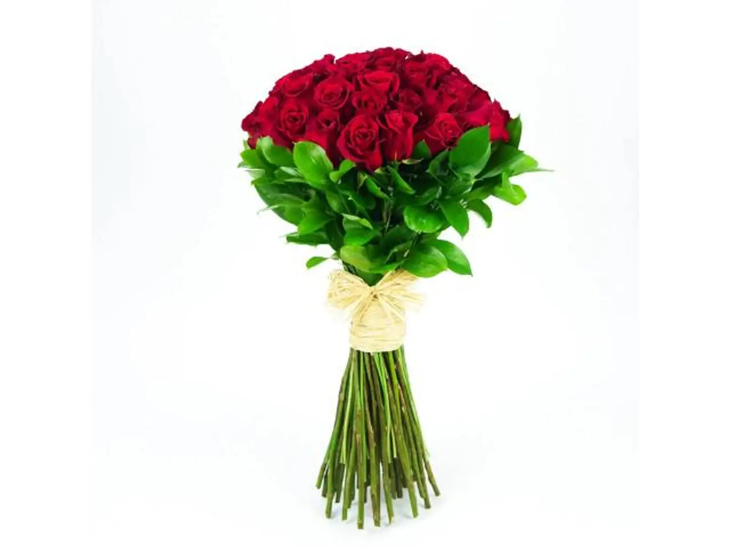 Red Roses 6