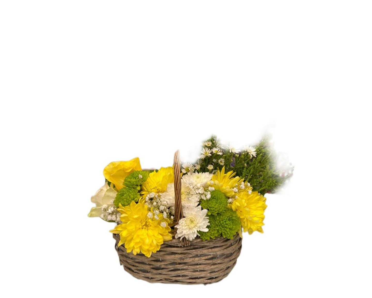 Soft Basket