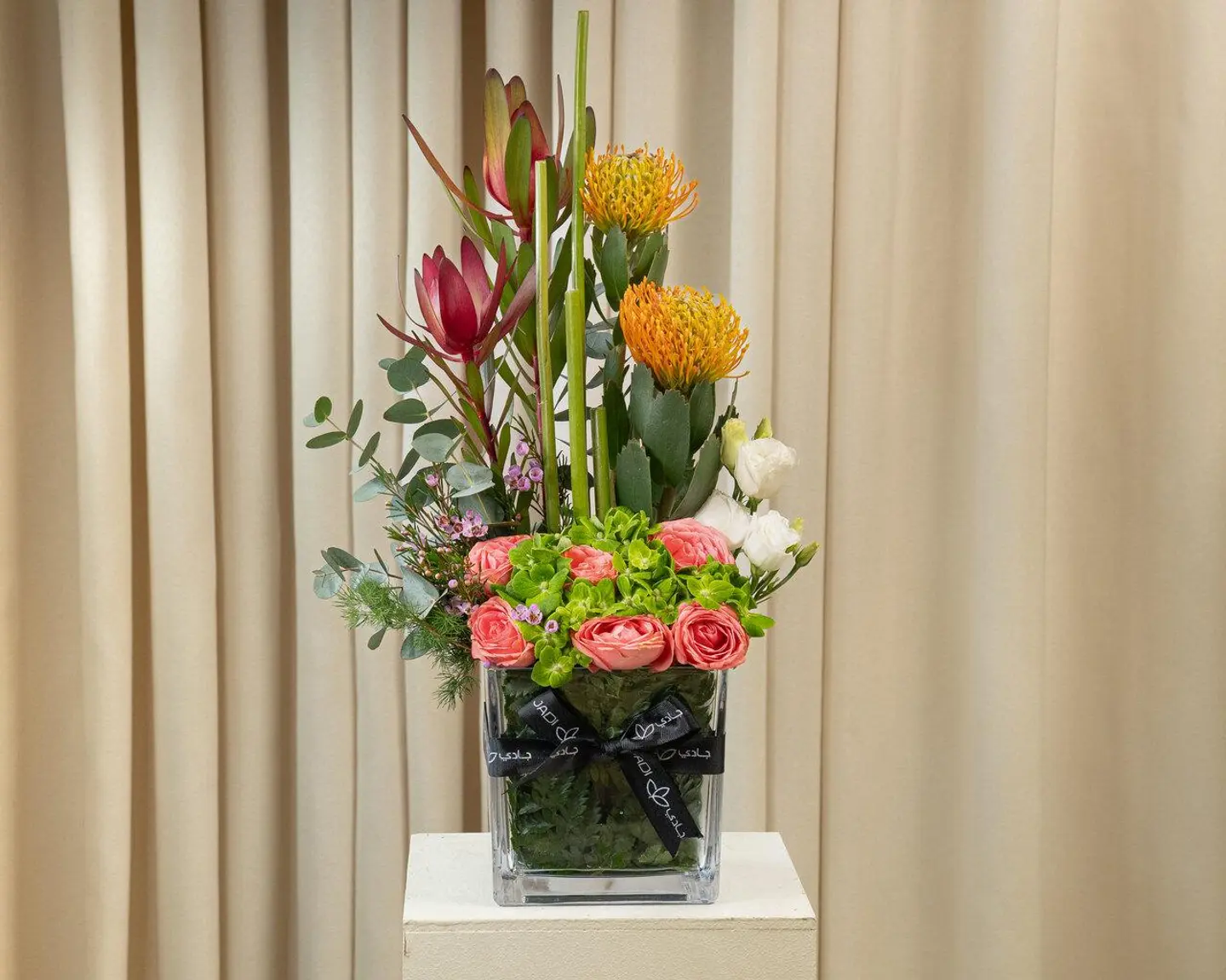 فازة مارسيلا