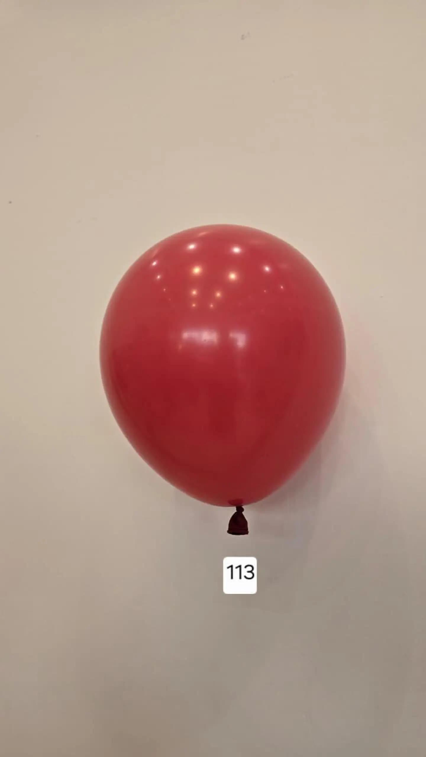 Balloon Number 113