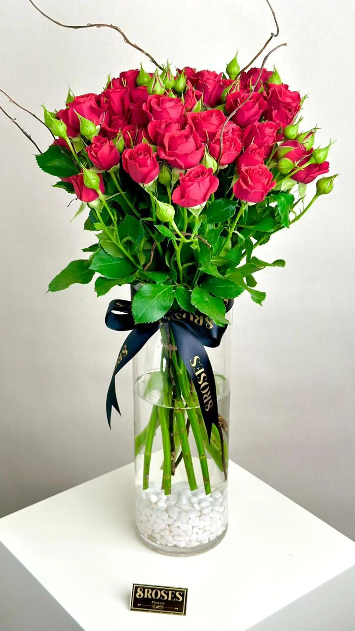 فازة رقة البيبي روز