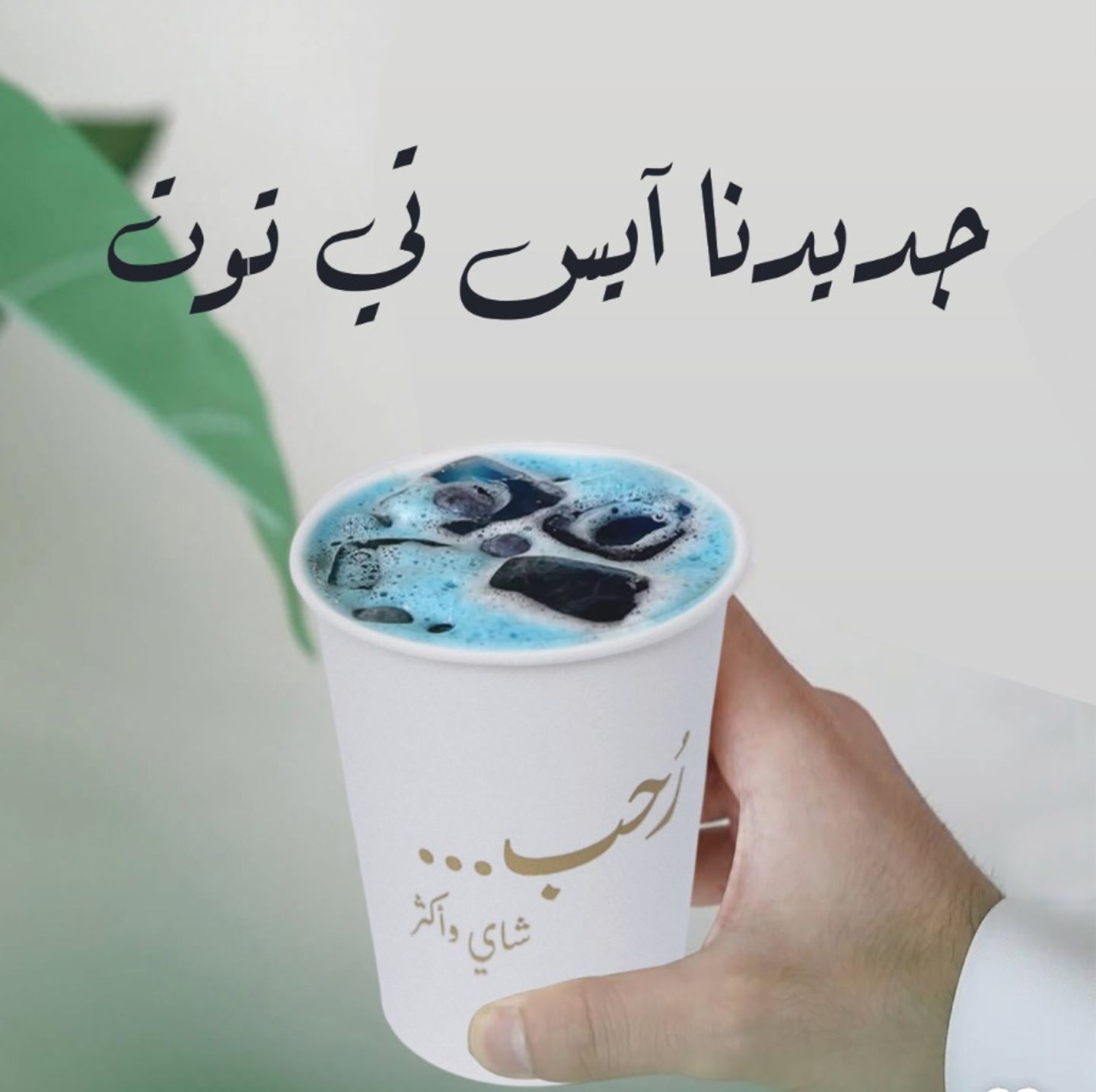 Iced Cheery Tea