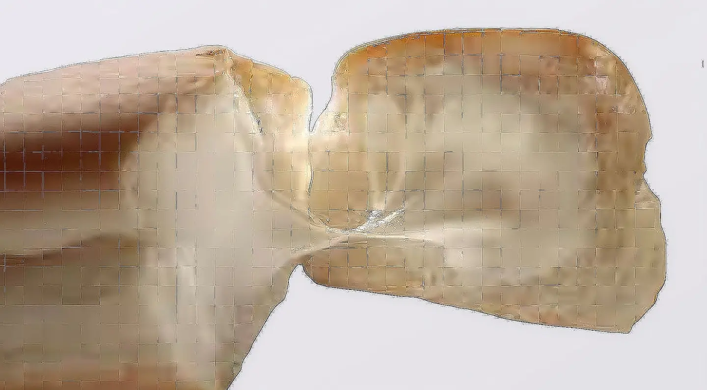 جبن سائل مشكل